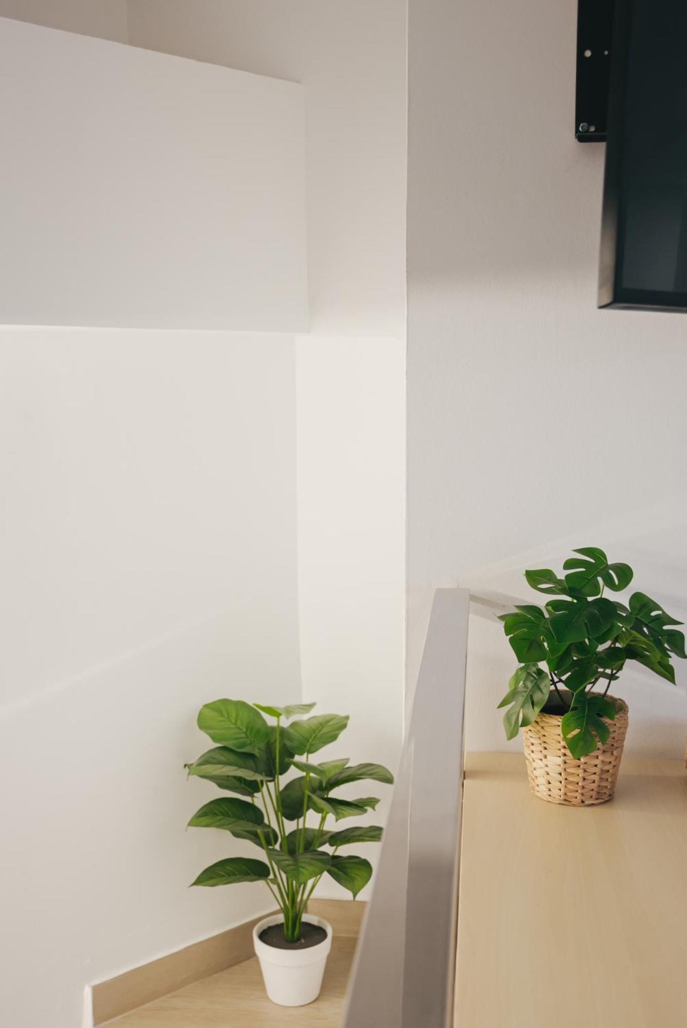 Apartament Larios Premium